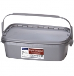 Vertex Rapid Simplified Vertex Rapid Simplified